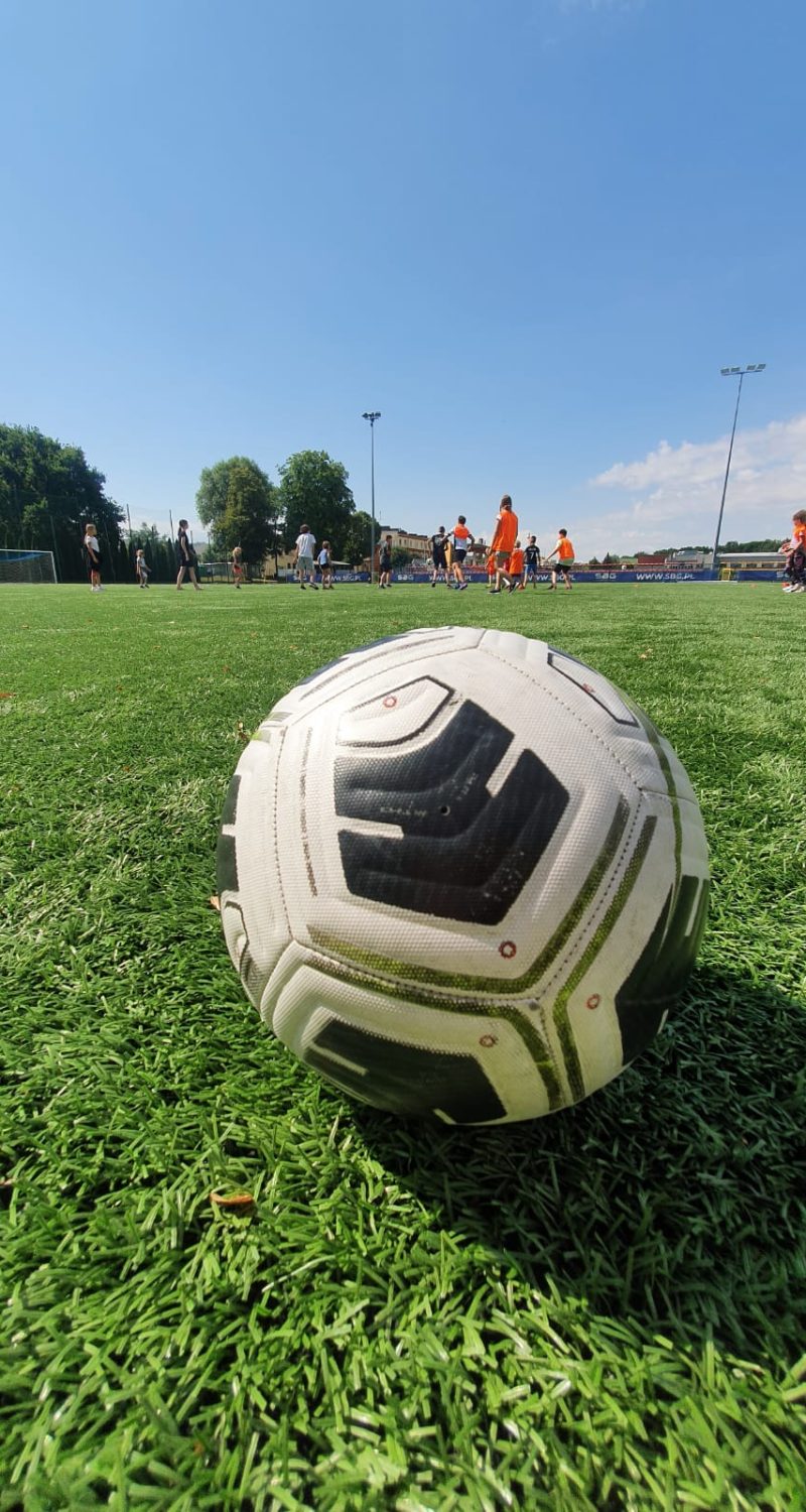 525c1224-6bd3-4dfc-8233-b017f79f559e